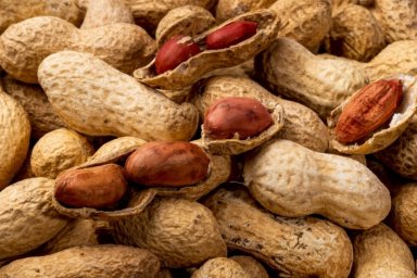 
Вызывает рак и цирроз: в Одесскую область завезли арахис с превышенным содержанием опасного вещест