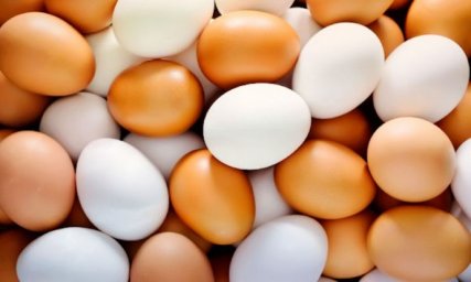 
В Украине взлетели цены на яйца
