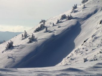 В Карпатах начался снегопад: туристам не рекомендуют идти в горы