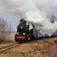 Узкоколейная железная дорога Рудница — Голованевск 3