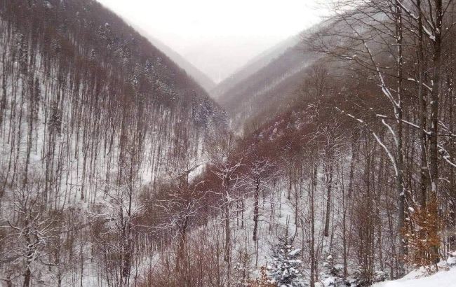 Украинцев предупредили об угрозе схода лавин в Карпатах