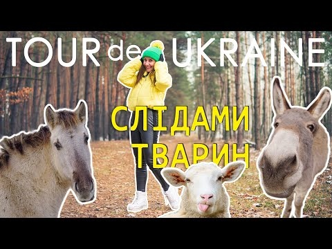 Де відпочити з дітьми / Ферми / Еко-туризм / ослина ферма / овеча ферма / парк Беремицьке