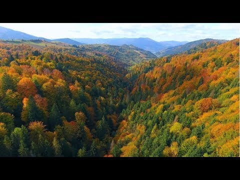 Украина с высоты - Осенние Карпаты.Часть - 2. (Ukraine from a height - Autumn Carpathians) 4 К.