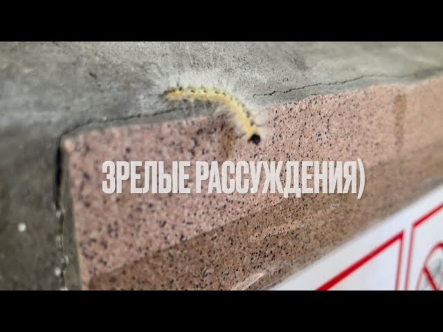 Одесса 5 июля 2022. Гусеницы,пожарники и кровососы. Рынок на Солнечной