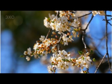 Весенняя прогулка по Житомиру. Часть-2 (Spring walk in Zhytomyr-2) 4К Ultra HD - Видео
