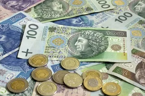 
Польша готовит финансовую помощь украинским беженцам: кто получит деньги
