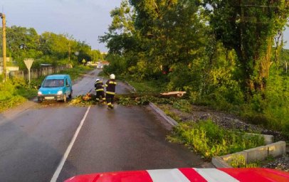 Поваленные деревья и поврежденные дома. Часть Украины накрыл ураган