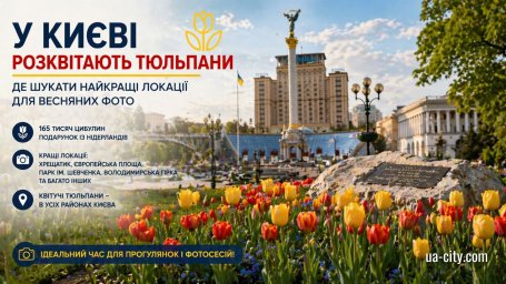 У Києві розквітають тисячі тюльпанів: де шукати найкрасивіші весняні локації