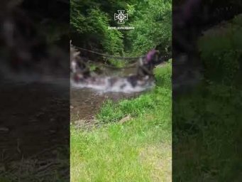 В Черновицкой области обрушился мост с детьми во время экскурсии: нескольких школьников госпитализировали