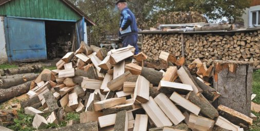 Украинцам разъяснили новый закон о хранении дров: сколько можно заготовить без риска попасть под уго