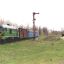 Узкоколейная железная дорога Рудница — Голованевск 5