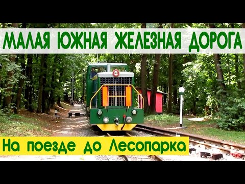 На поезде до Лесопарка | МЮЖД | Trip in narrow-gauge train | Children's Railway in Kharkiv