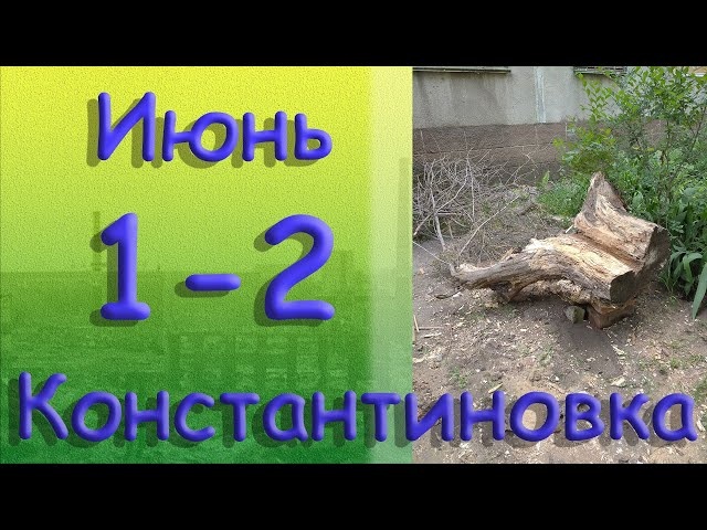 1 - 2 июня Константиновка Донецкая область Донбасс