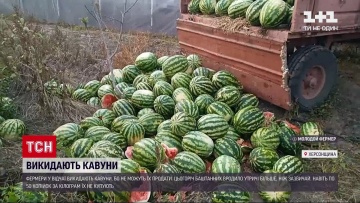 Новости Украины: фермеры в Херсонской области в отчаянии выбрасывают арбузы