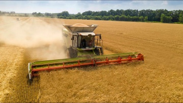 Уборка пшеницы 2021