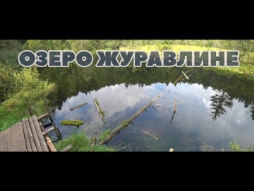 Мертвое озеро (Журавлиное) - жуткая красота Карпат