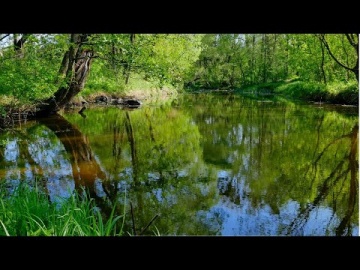 Весенняя прогулка по Житомиру - Часть 7 (Spring walk in Zhytomyr-7) 4К Ultra HD - Видео