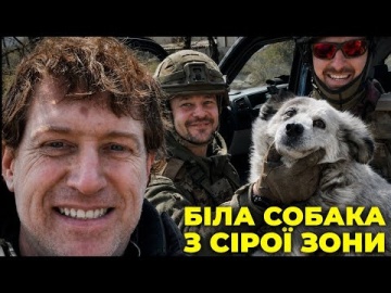 Як живе Білозерське. Евакуація собаки з Добропілля
