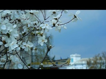 Житомир с высоты. Весна-лето(Zhitomir from a height - Soon summer)4К Ultra HD - Видео