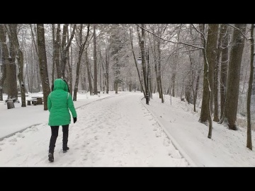 Трускавець 2022: казкова зима у Курортному парку в Трускавці
